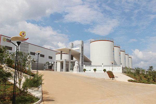 Hunan Guitaitai Tea Oil Technology Co., Ltd. 40,000 T/D tea seed pre-pressing and 12,000 T/D tea seed oil dewaxing production line project