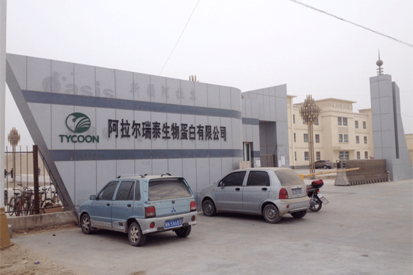 Alaer Ruitai Bioprotein Co., Ltd. 1000T/D cottonseed pretreatment leaching processing project